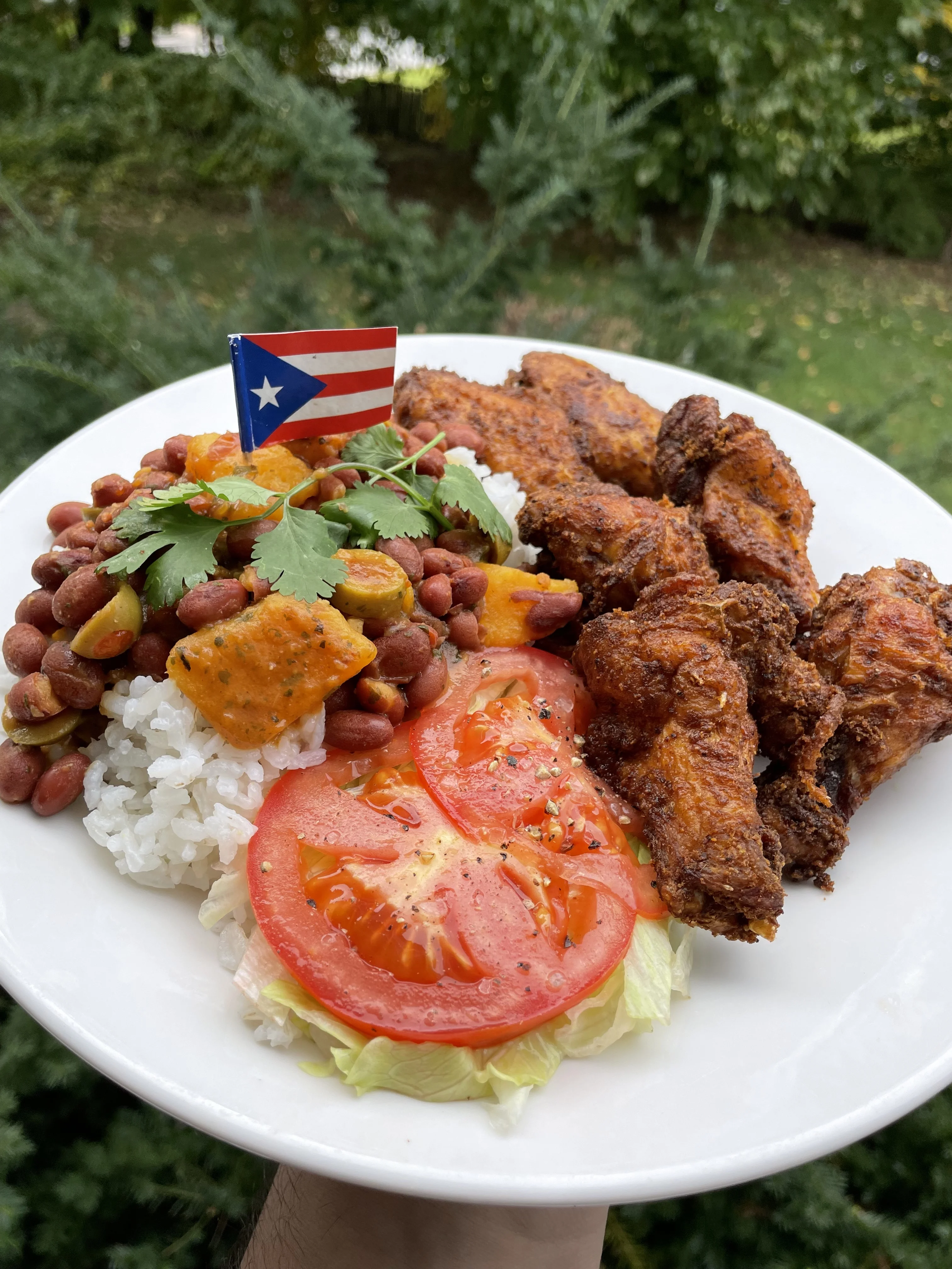 crispy-chicken-wings