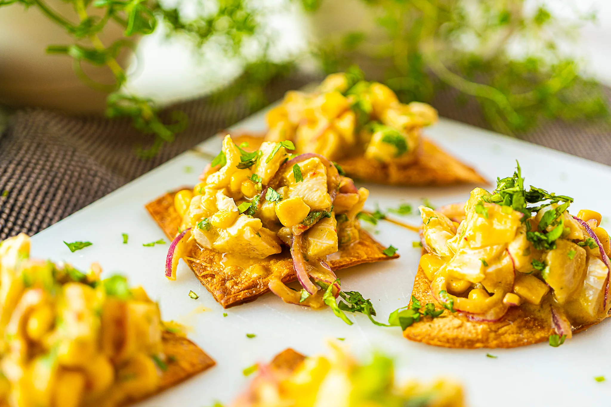 ceviche