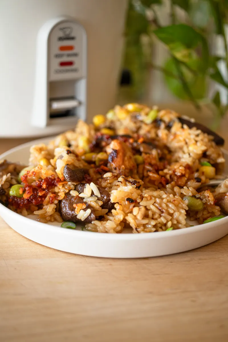 rice-cooker-chicken-and-rice