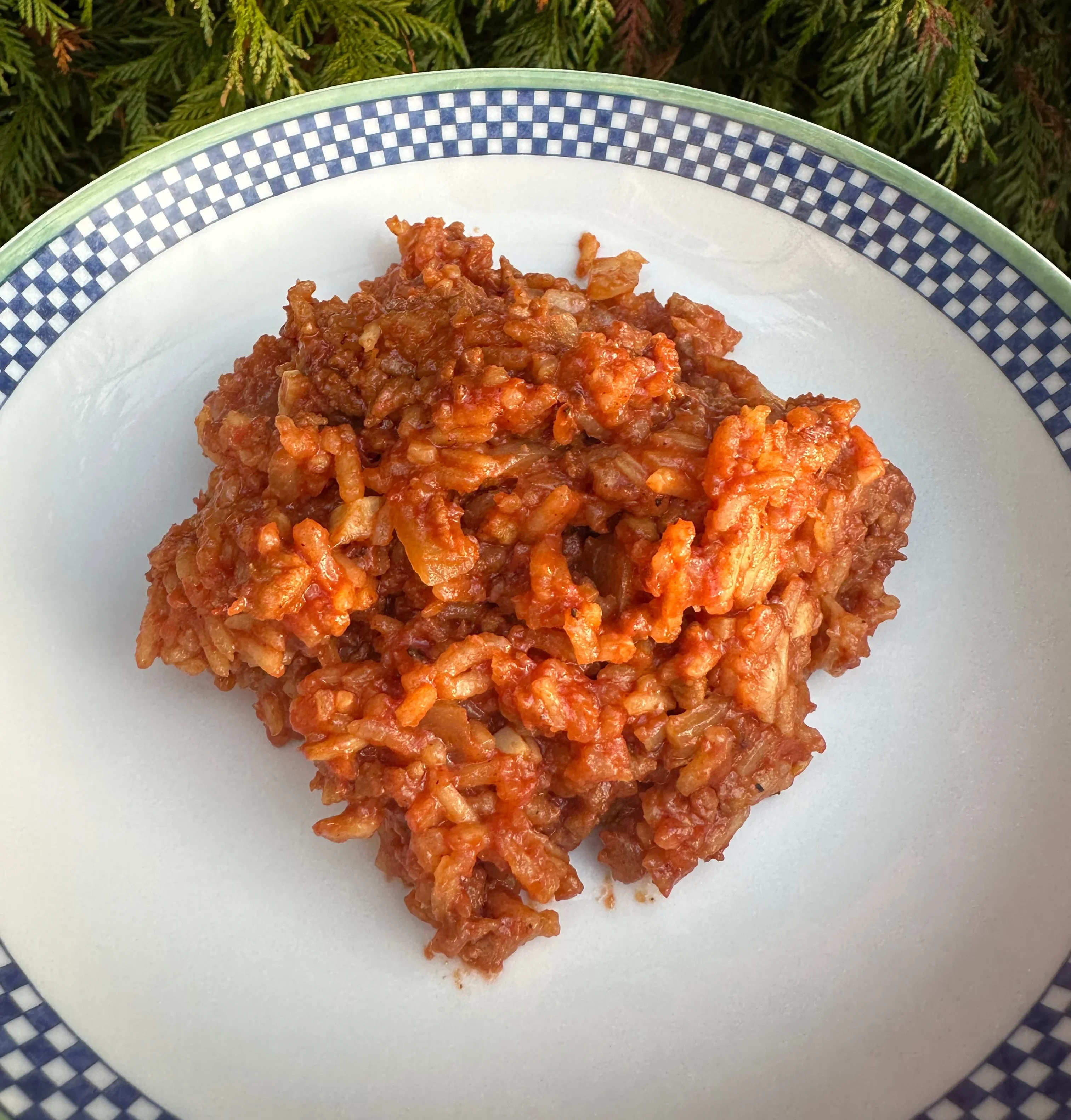 dad's-one-pot-spanish-rice