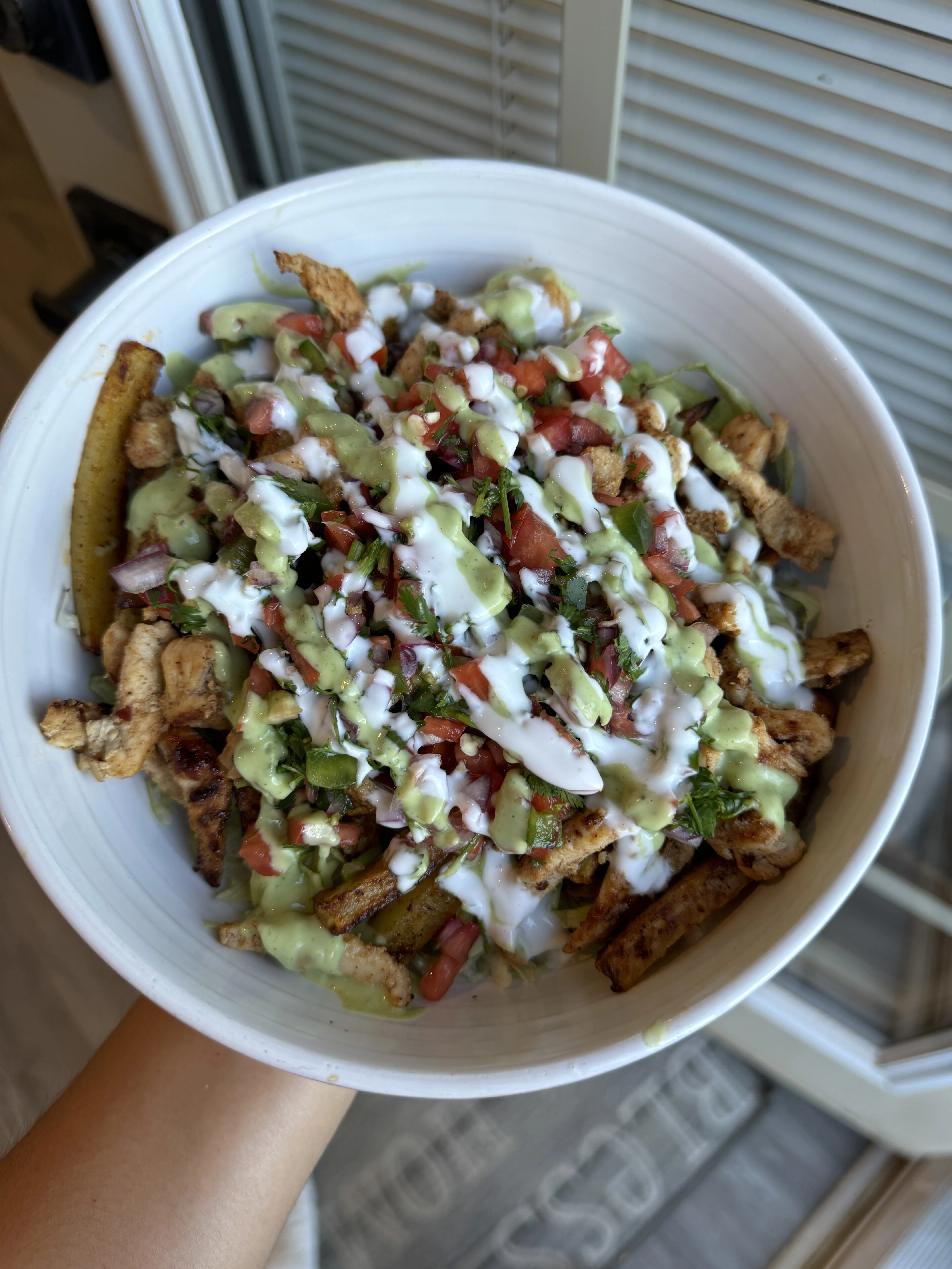 fit-loaded-fries