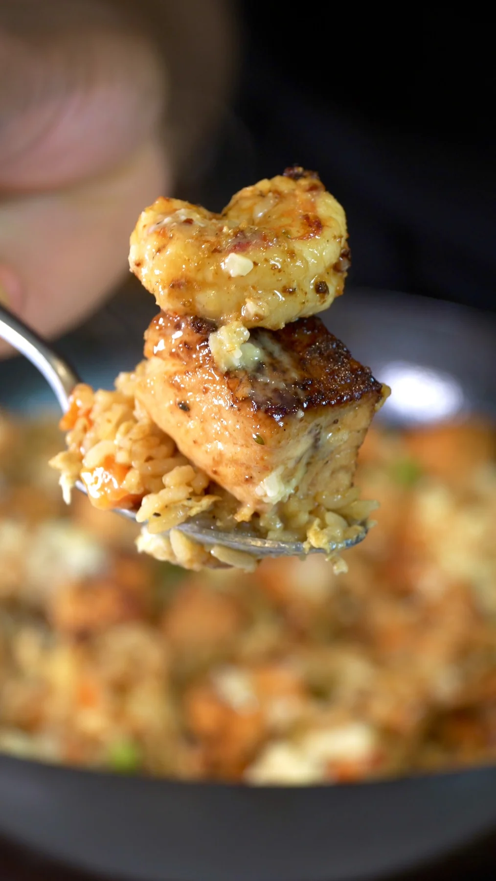 salmon-and-shrimp-fried-rice