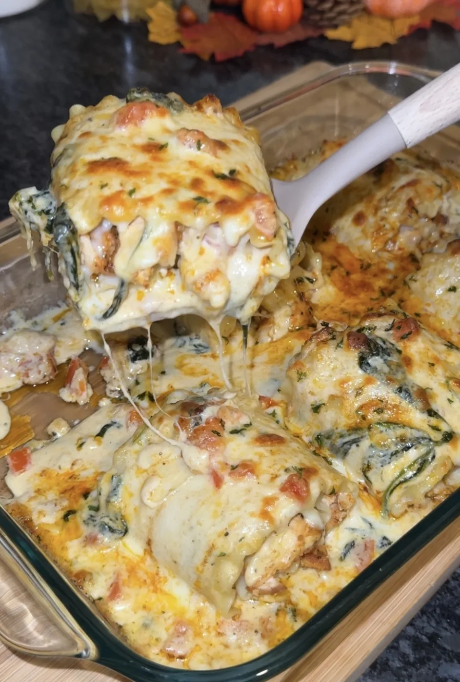 chicken-alfredo-lasagna-rolls
