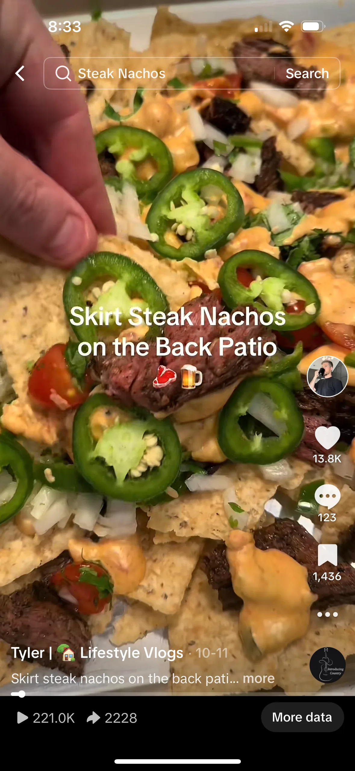 skirt-steak-nachos