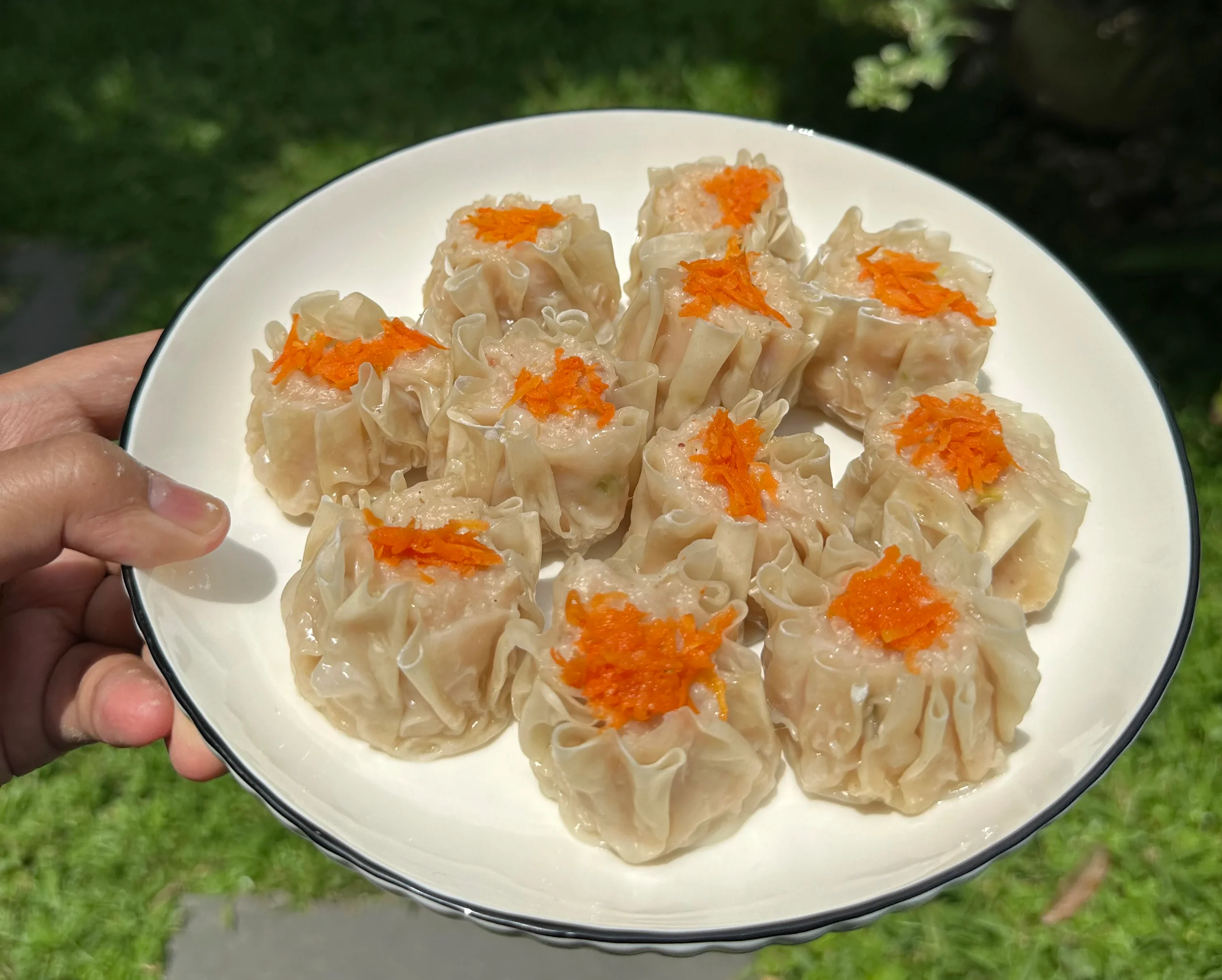 homemade-chicken-dimsum