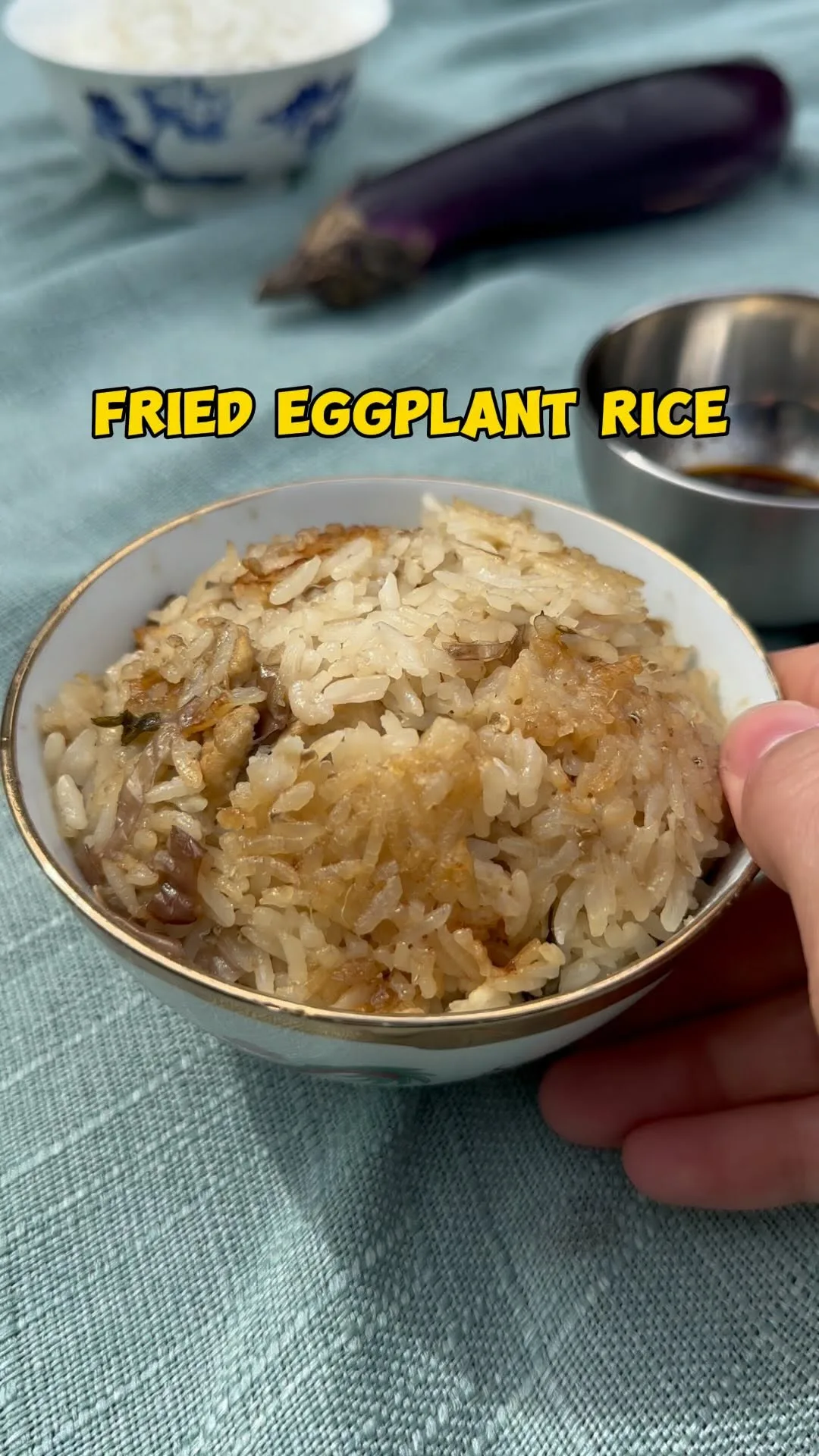fried-eggplant-rice