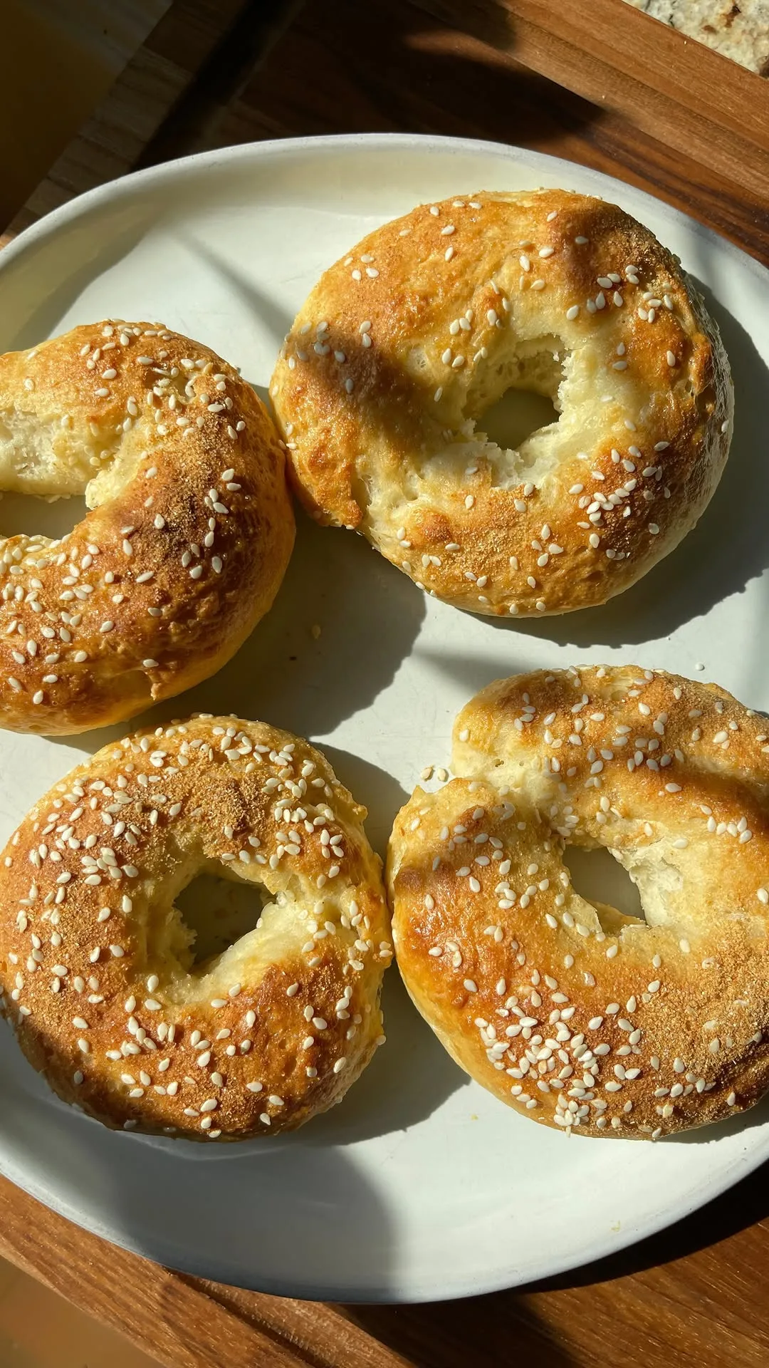 protein-bagels