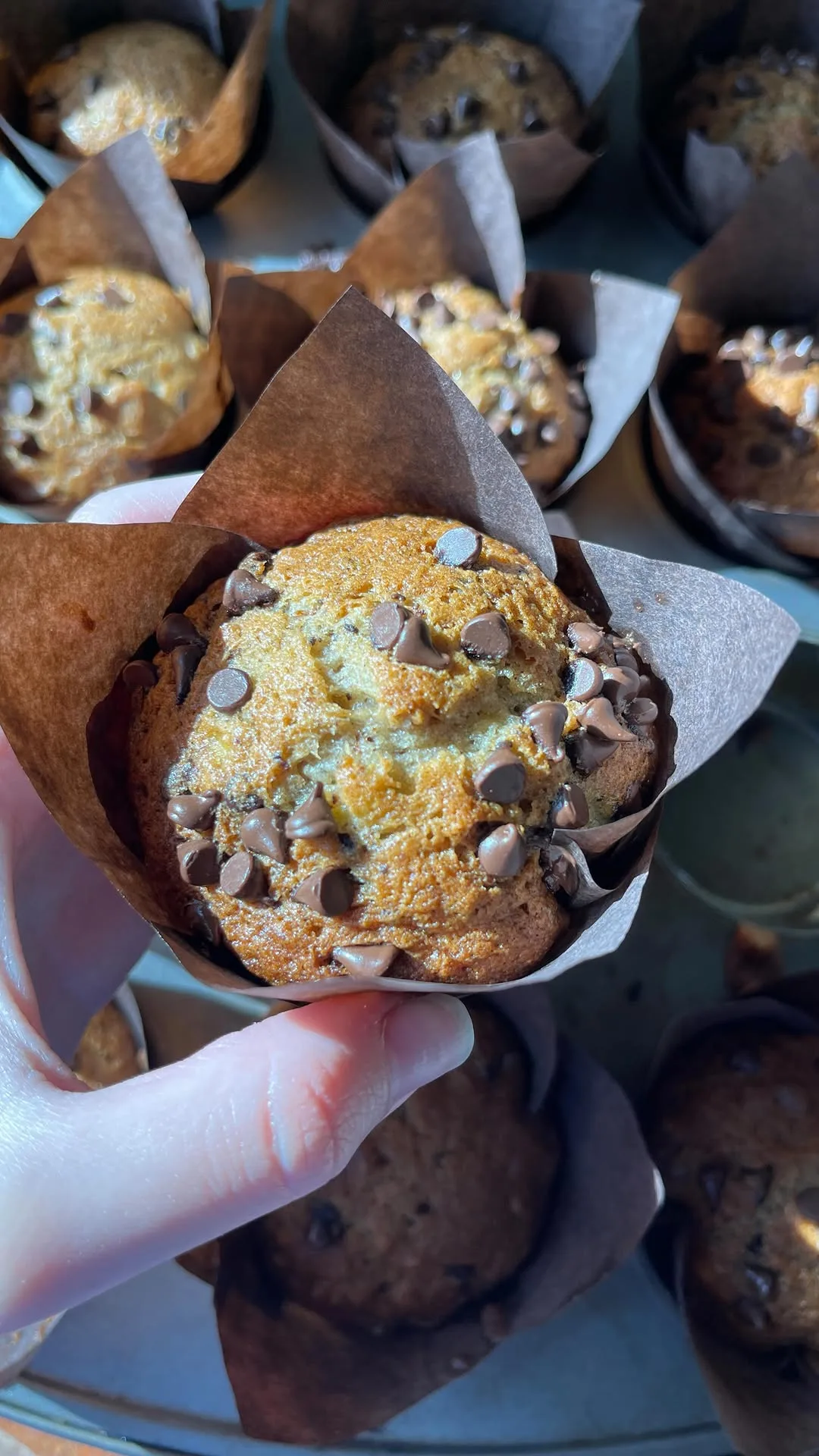 banana-bread-muffins