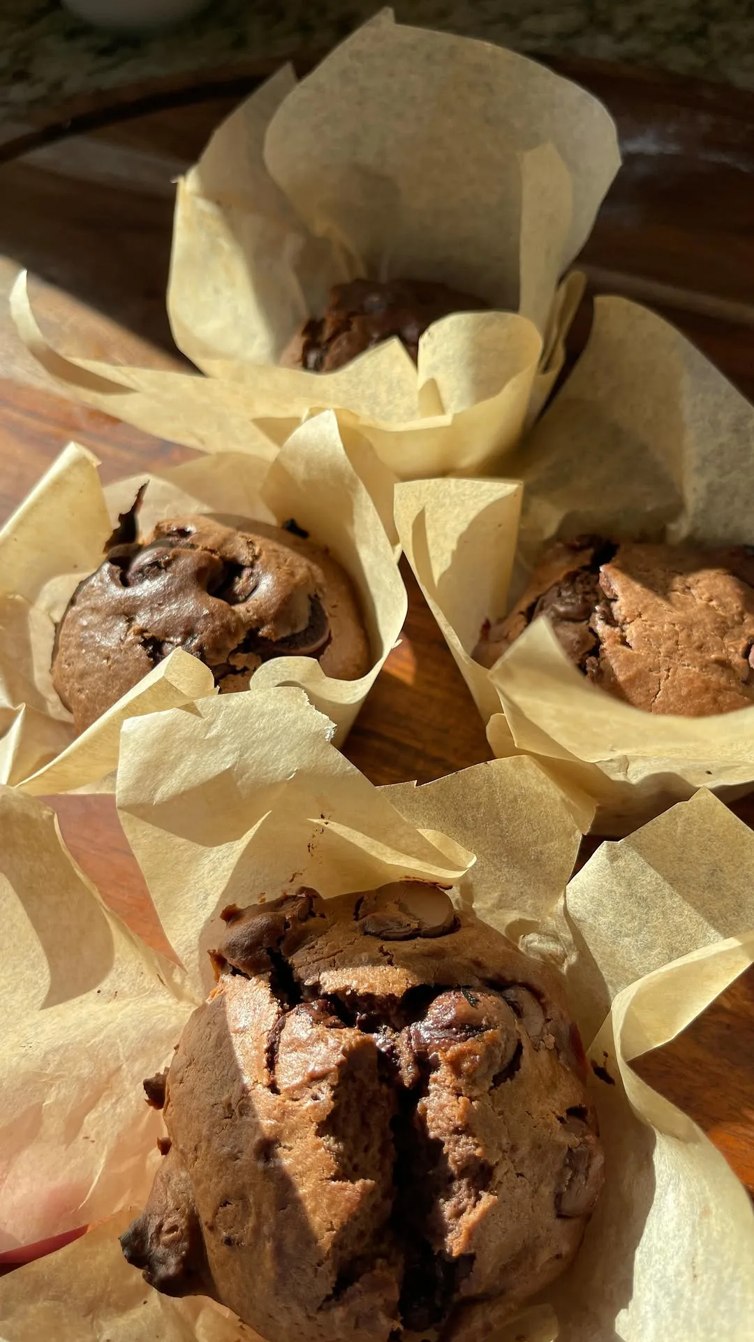 chocolate-muffins