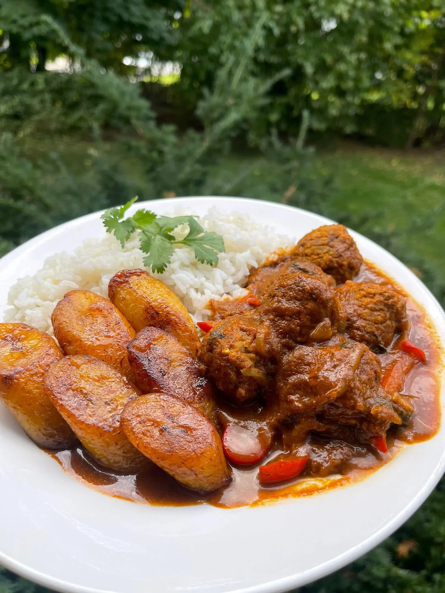 vegan-meatball-guisado