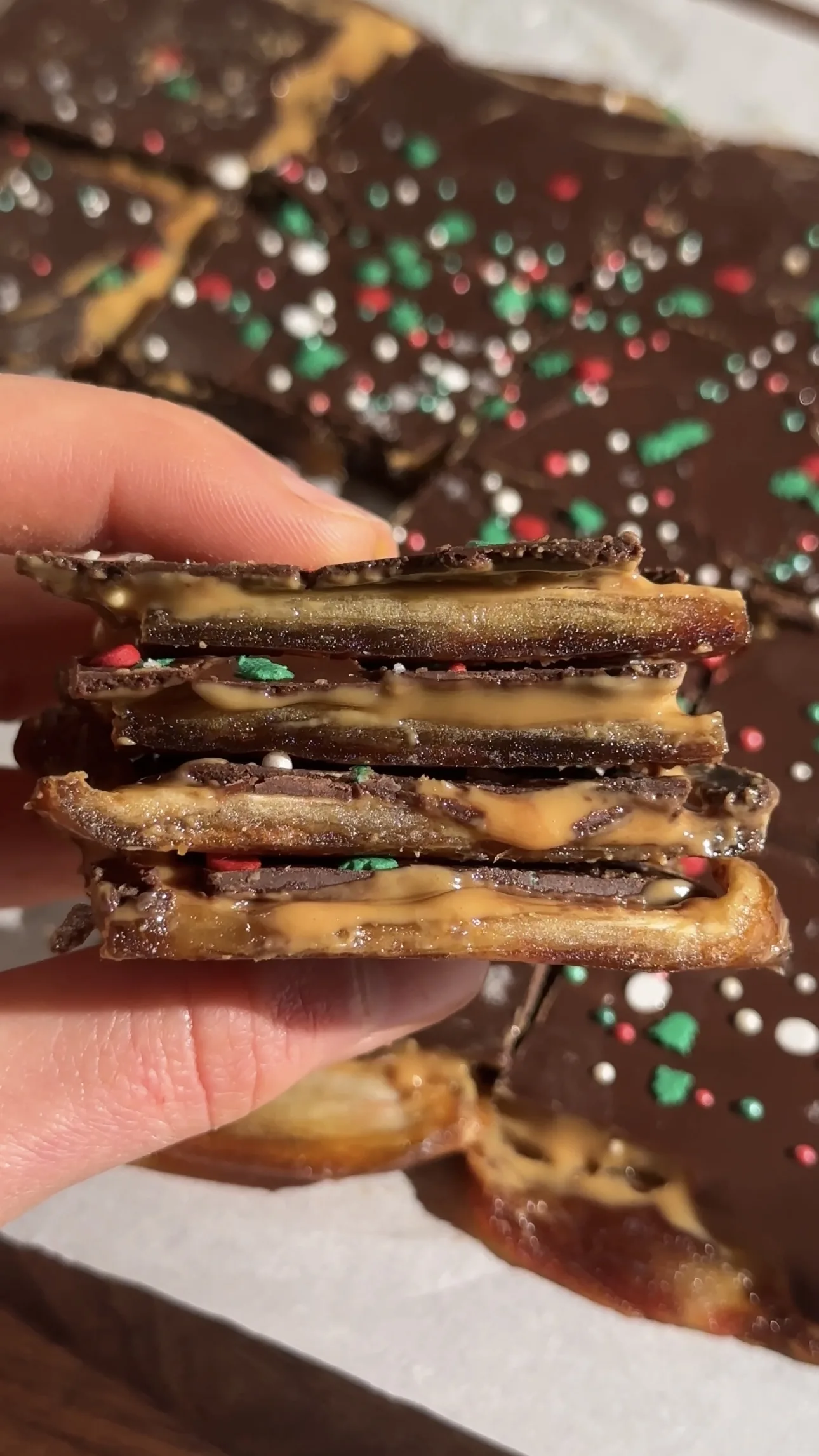 christmas-date-bark