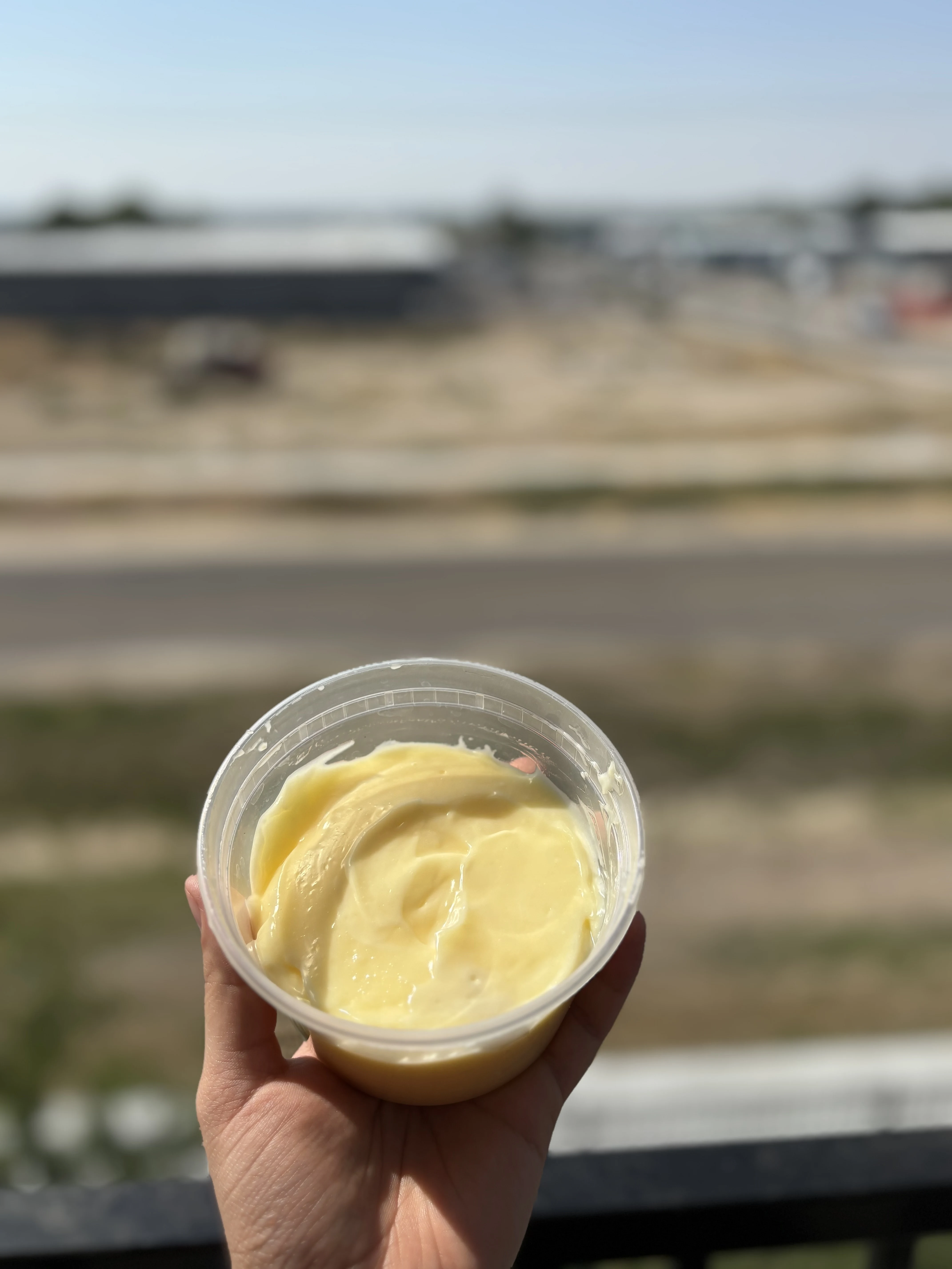 homemade-mayonnaise-from-scratch