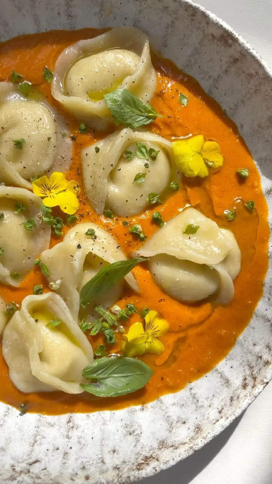 tortellini-filled-with-cashew-cheese-and-roasted-cherry-tomato-sauce