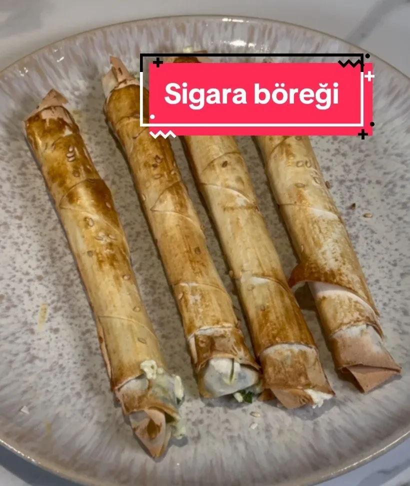 sigara-boregi