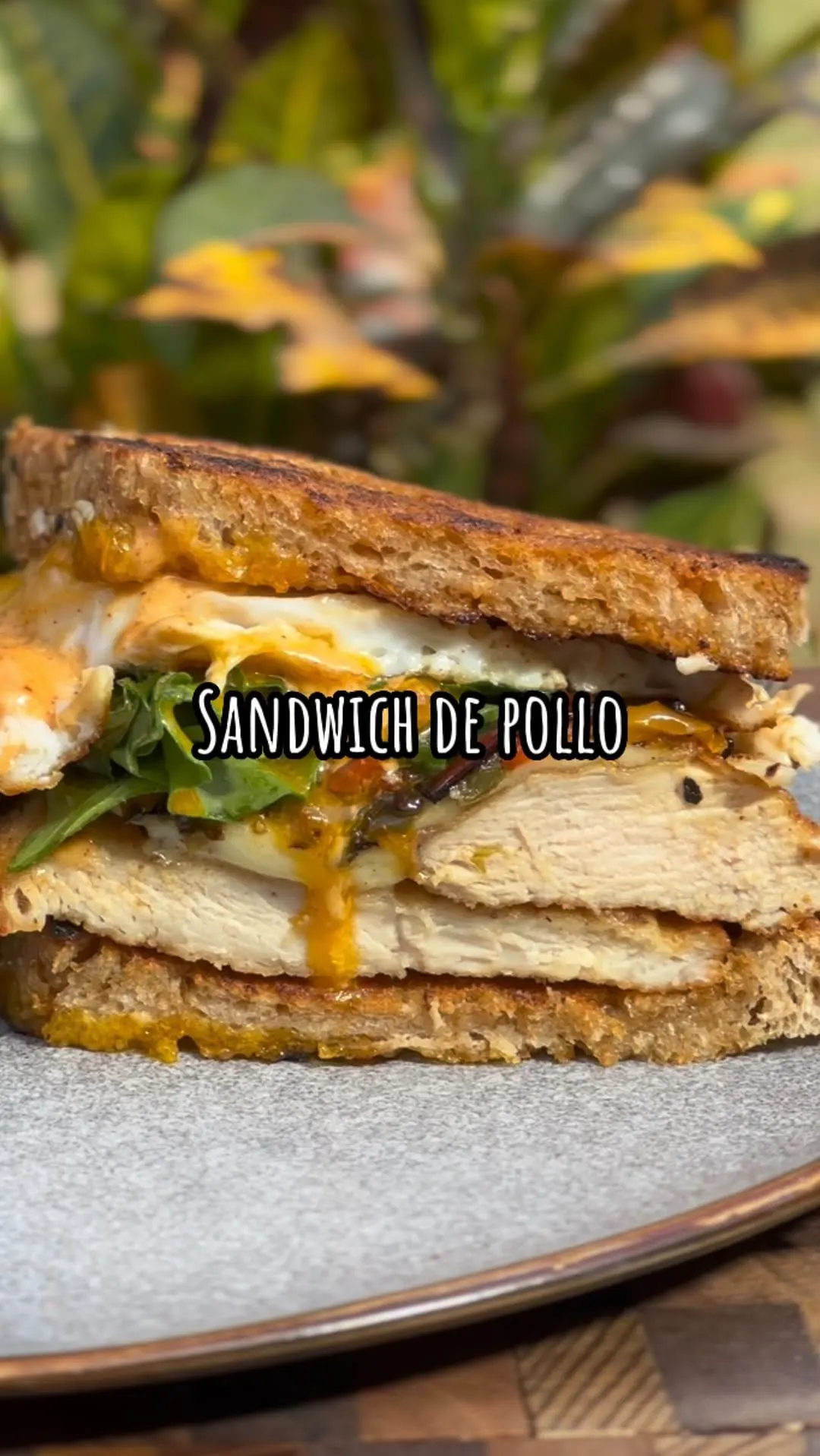 sandwich-de-pollo-con-pimientos-asados-y-huevo-frito-chicken-sandwich-with-roasted-peppers-and-fried-egg