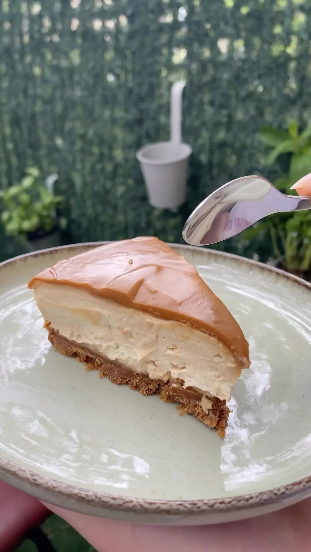 cheesecake-au-speculoos