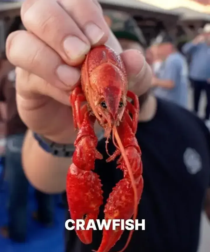 kinky-crawfish-boil