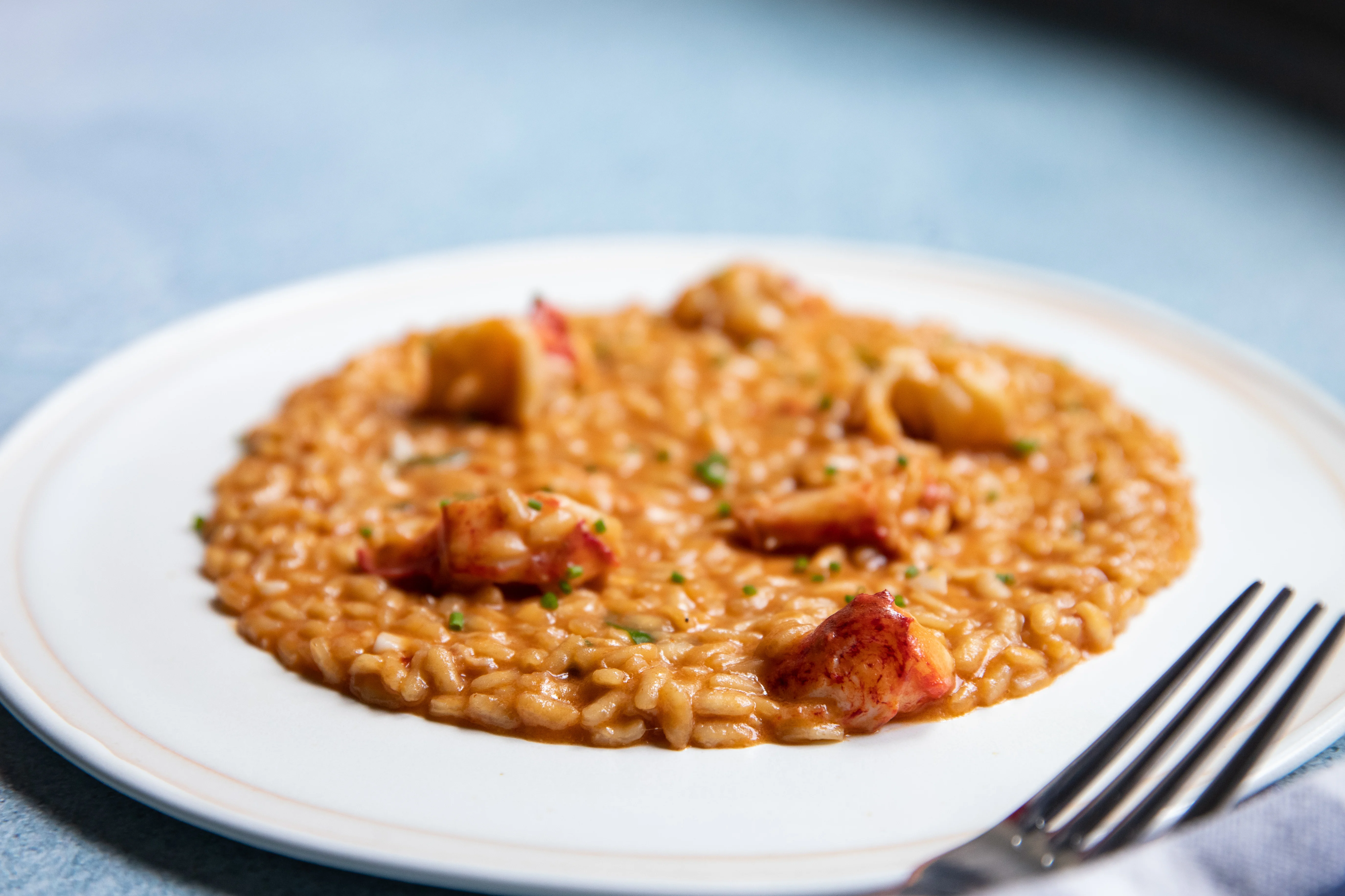 lobster-risotto