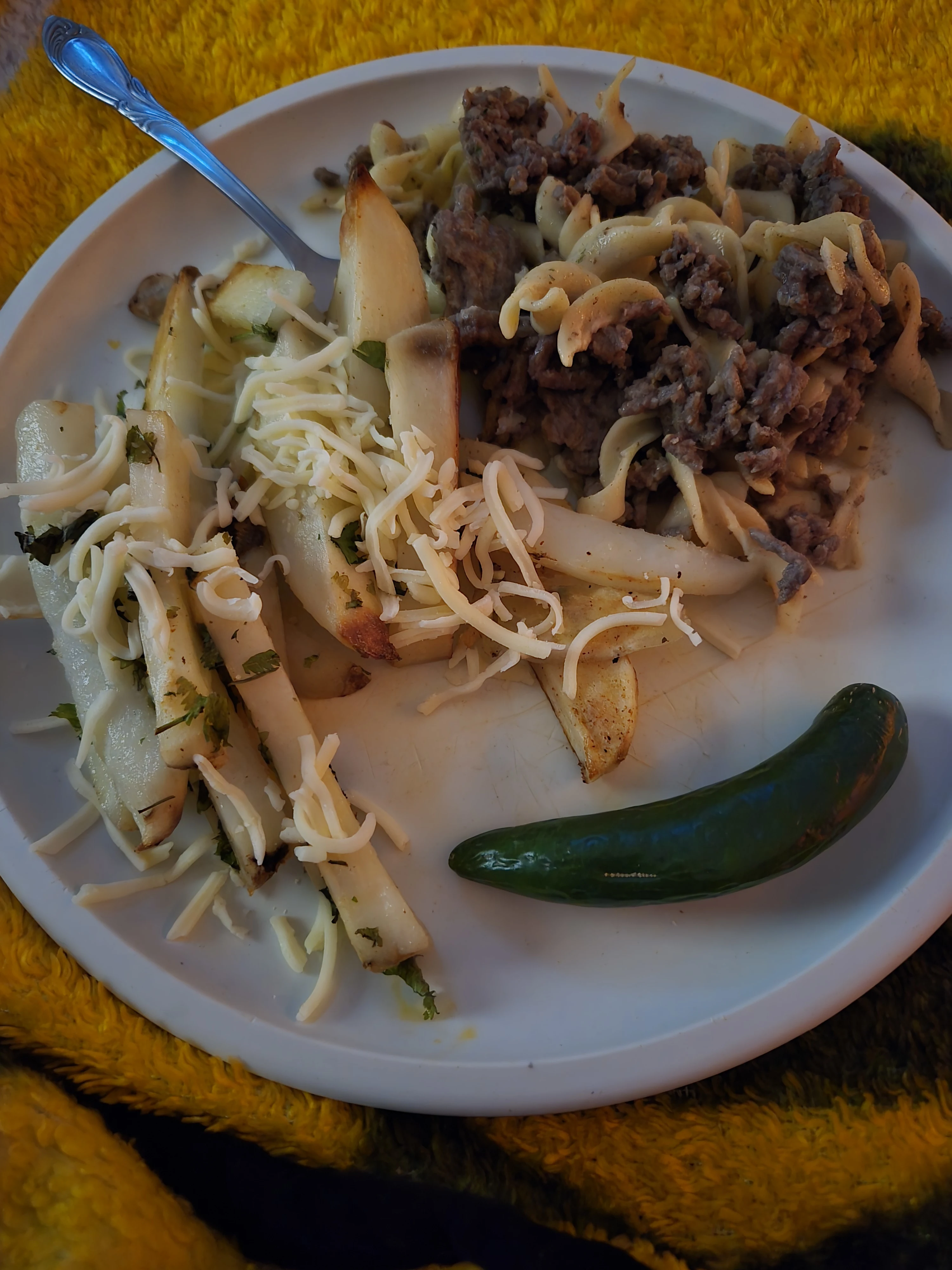 ground-beef-with-egg-noodles-and-french-fries