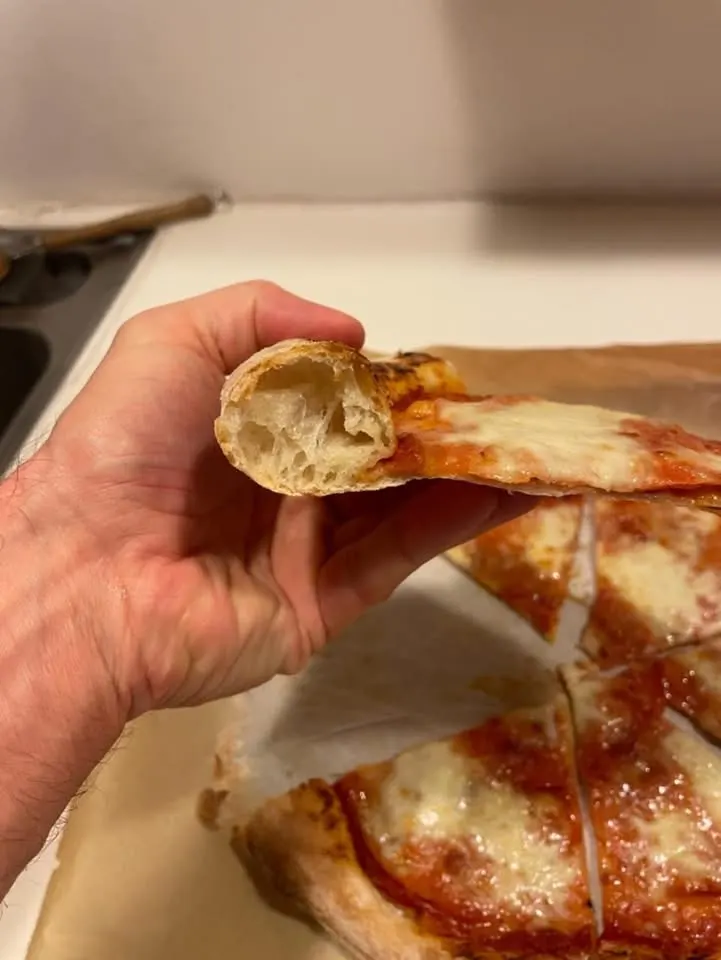 pizza-dough-no-knead