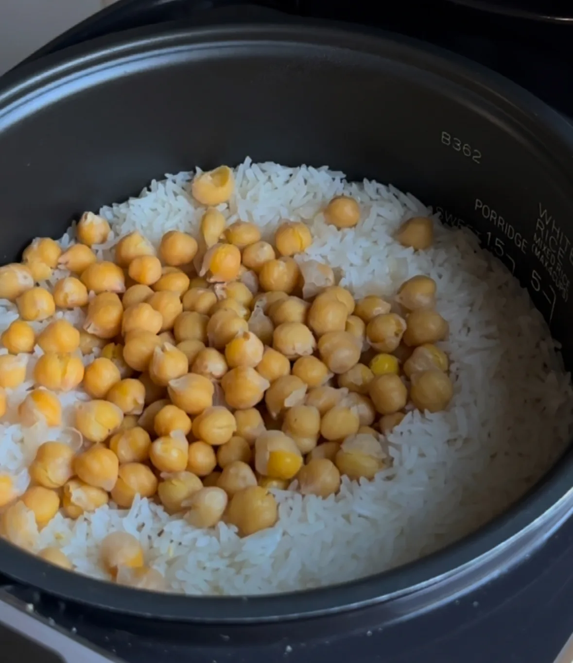 chickpea-protein-rice