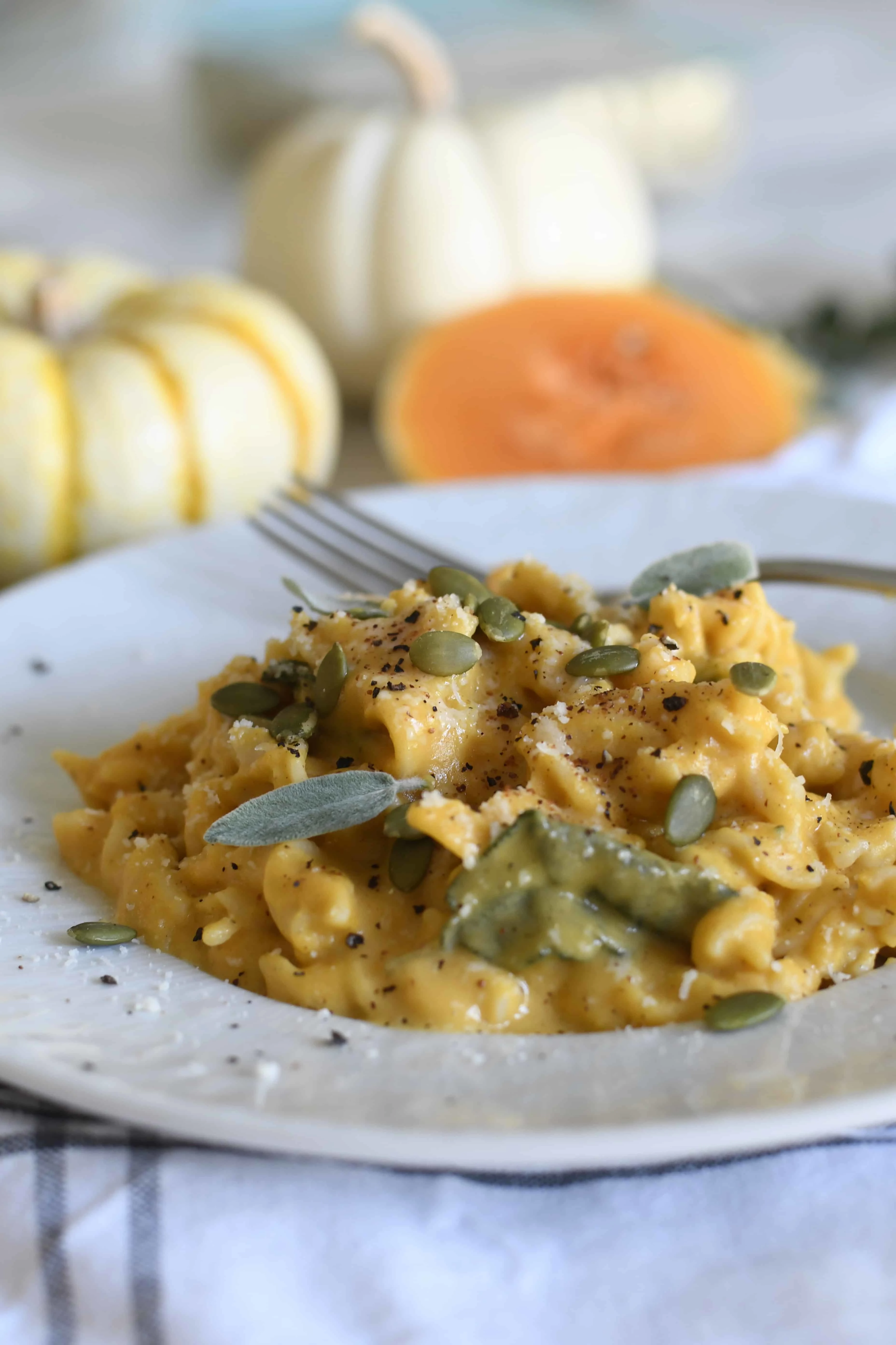 fusilli-pasta-with-creamy-roasted-butternut-squash-sauce