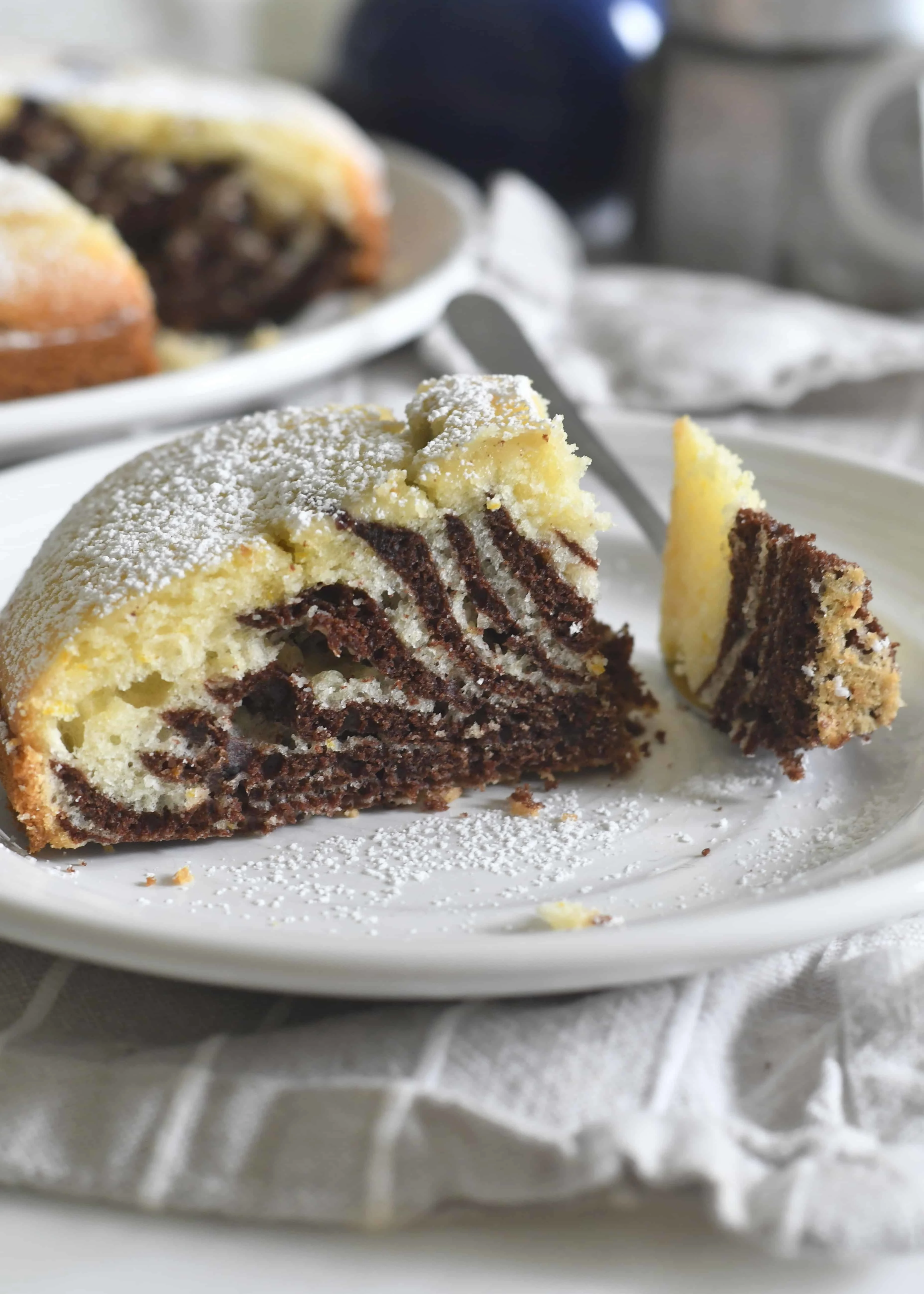 easy-chocolate-vanilla-zebra-cake