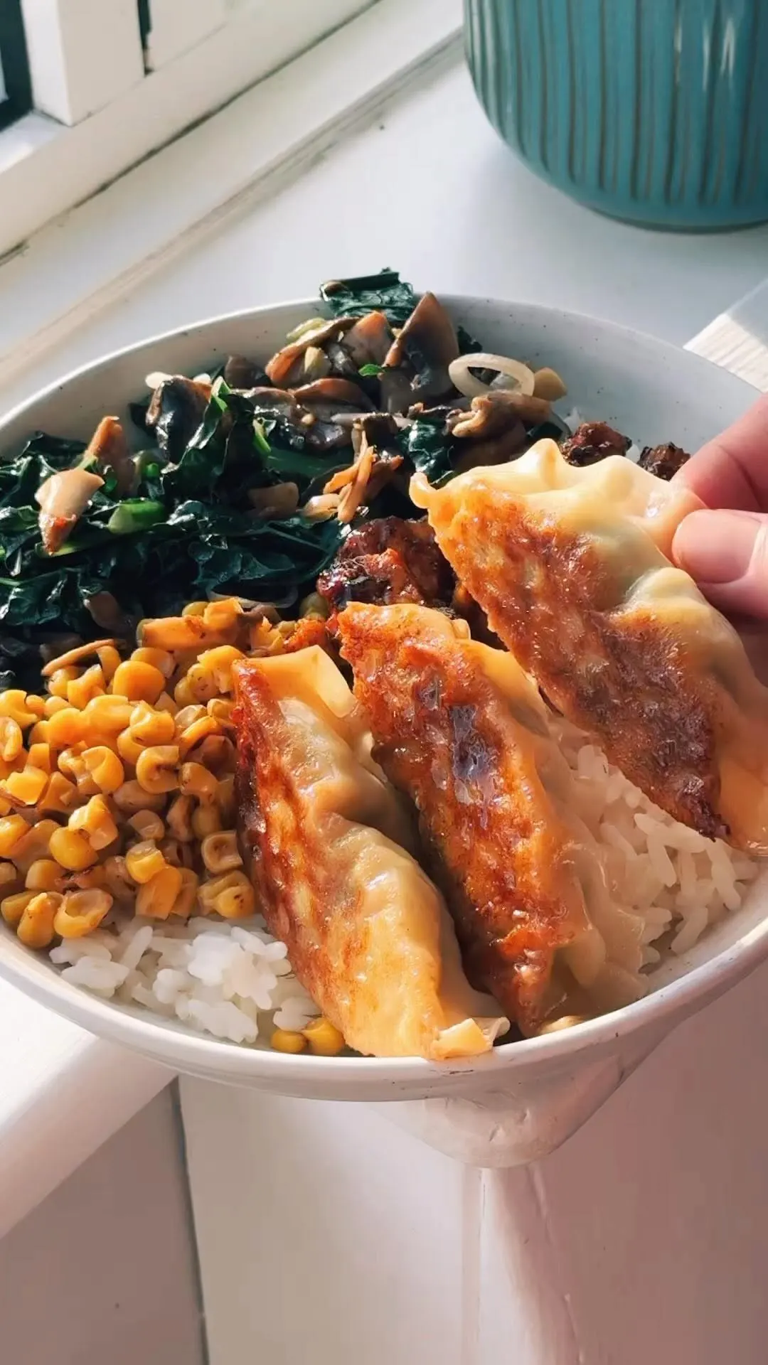 dumpling-rice-bowl