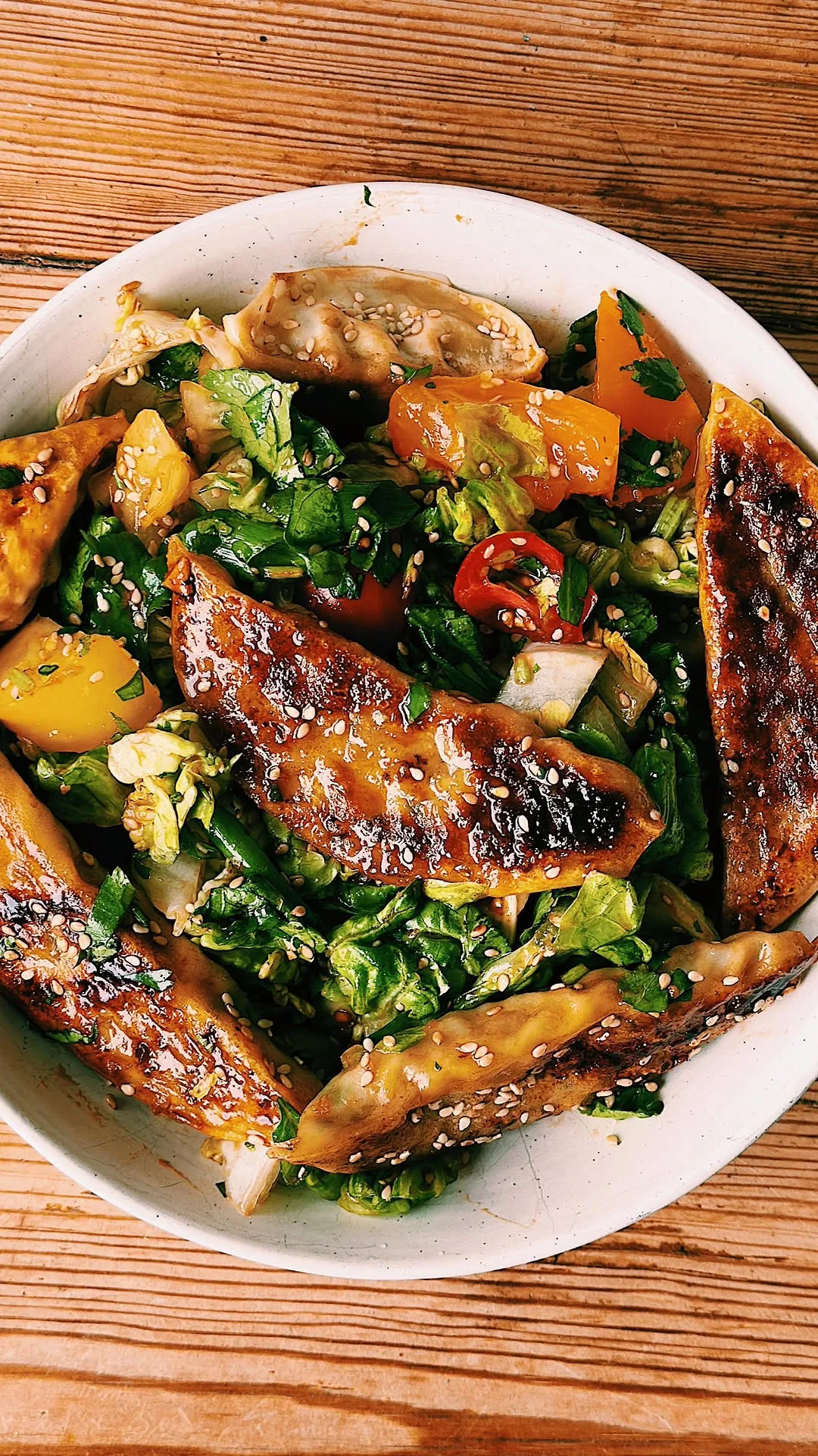 gyoza-salad