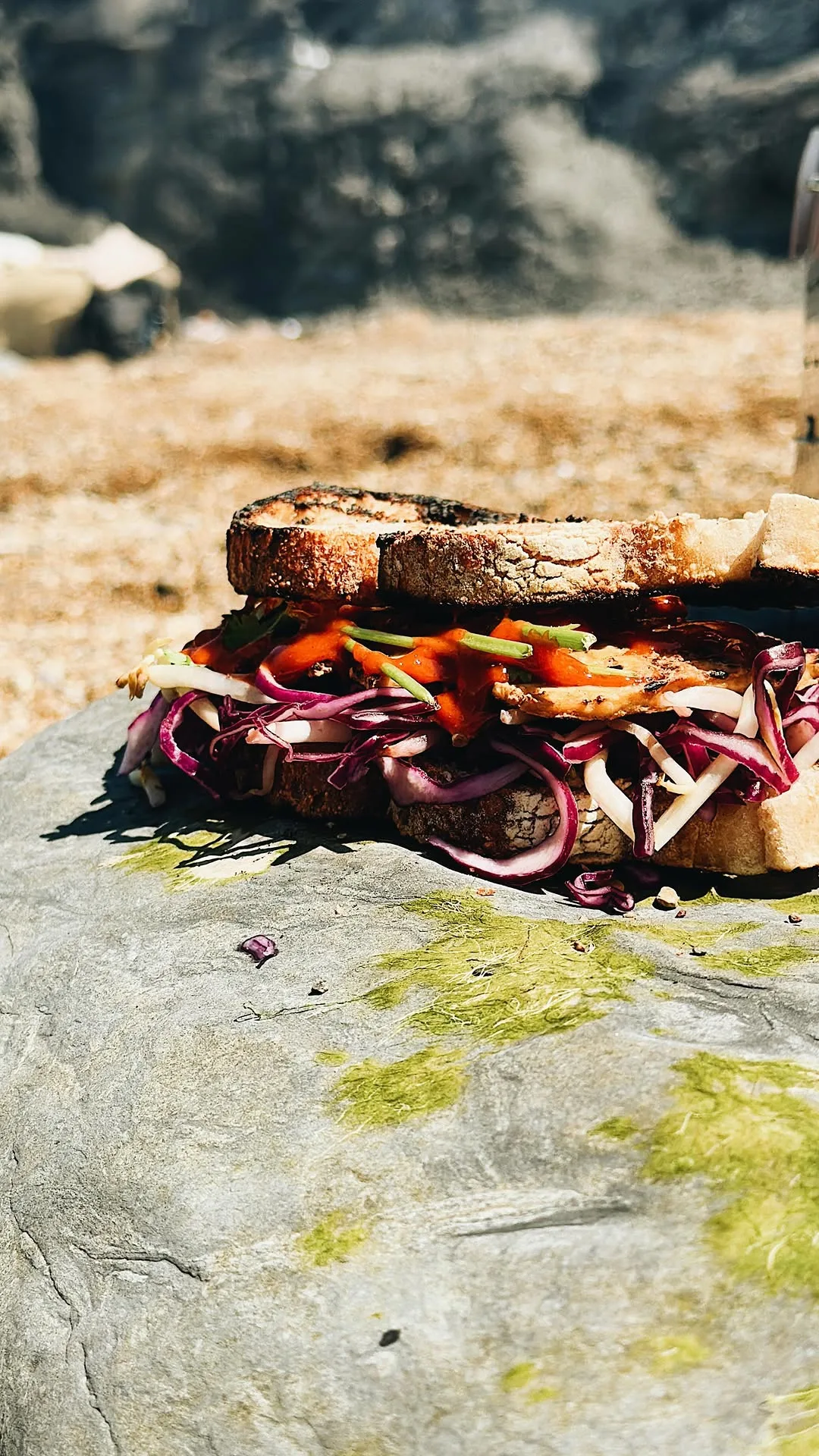 gochujang-tofu-sandwich