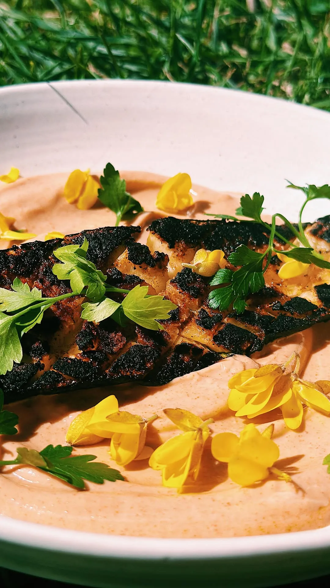charred-courgette-with-gochujang-yoghurt