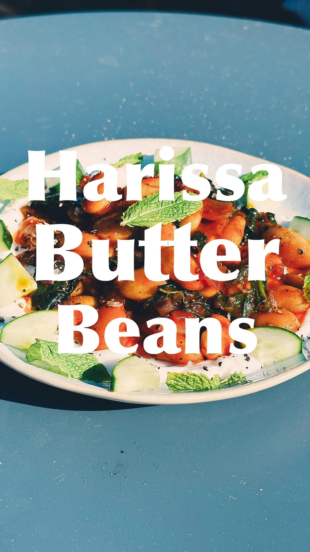 harissa-butter-beans-on-cooling-coconut-yoghurt