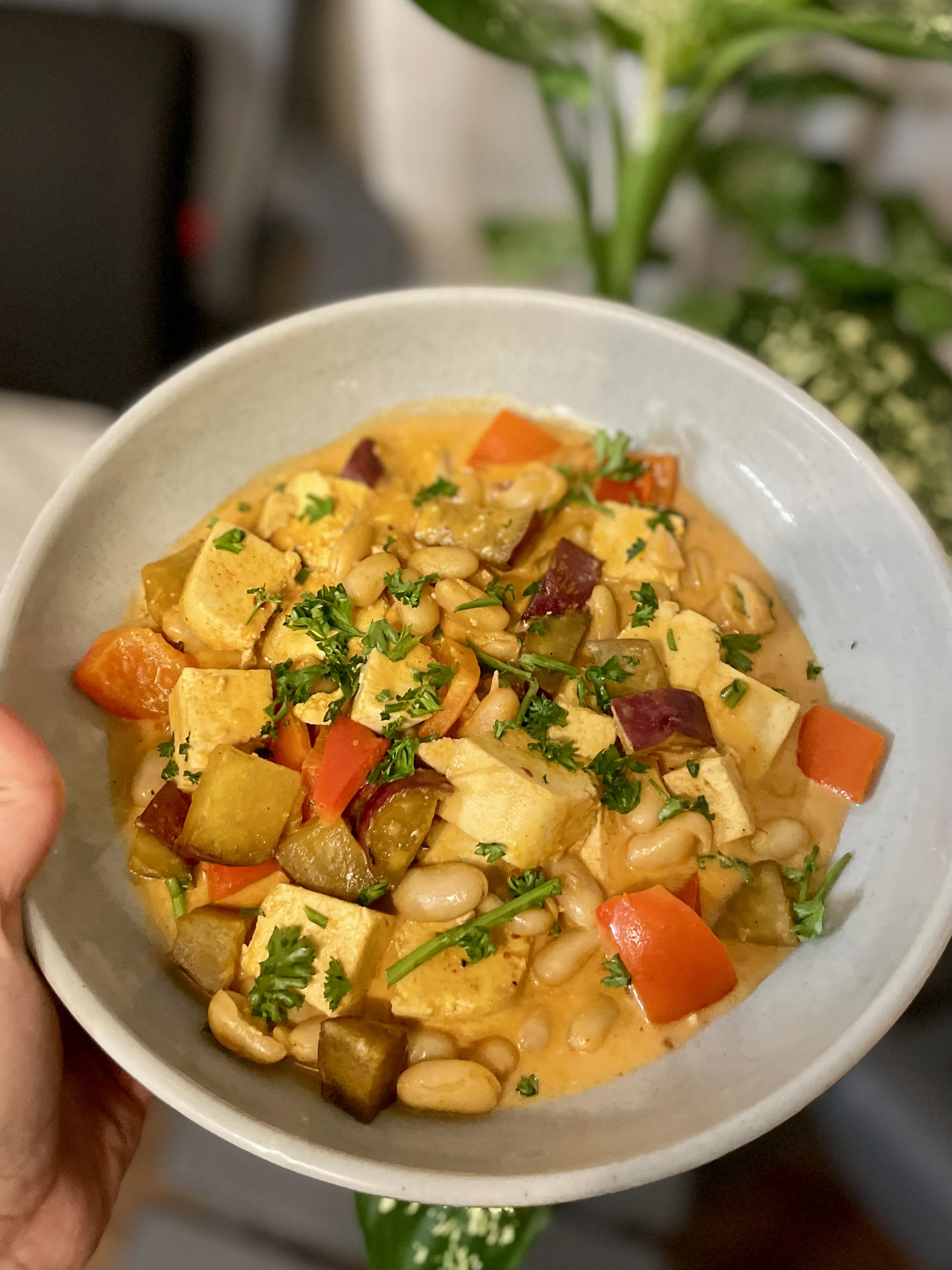 coconut-red-curry-with-white-beans-and-tofu