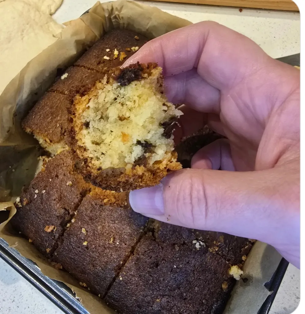 coconut-and-chocolate-sponge-cake