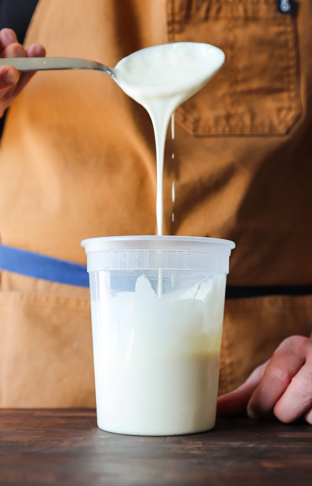 taleggio-cheese-sauce