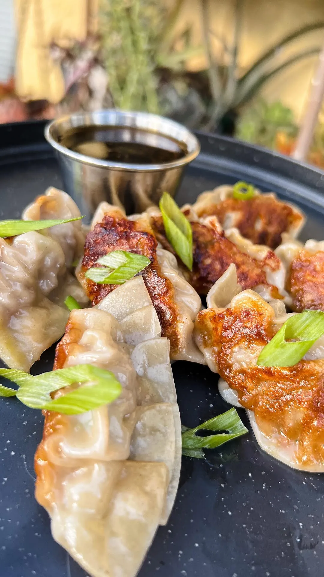 potstickers