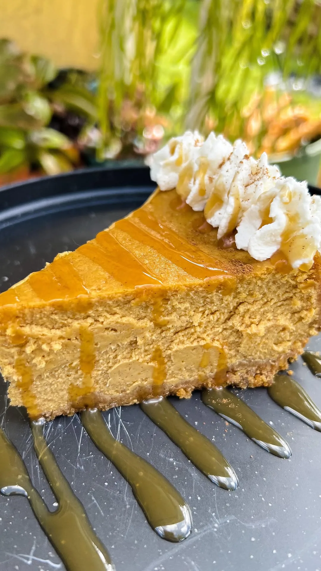 pumpkin-cheesecake