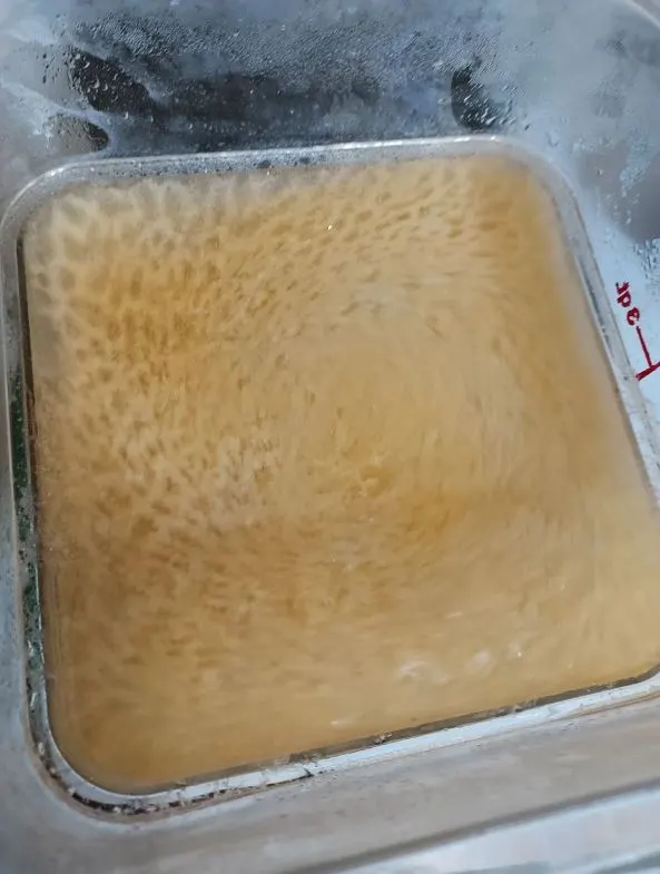 salmon-stock-making