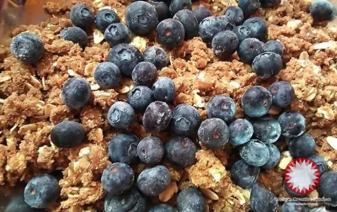 apple-blueberry-crumble-tart