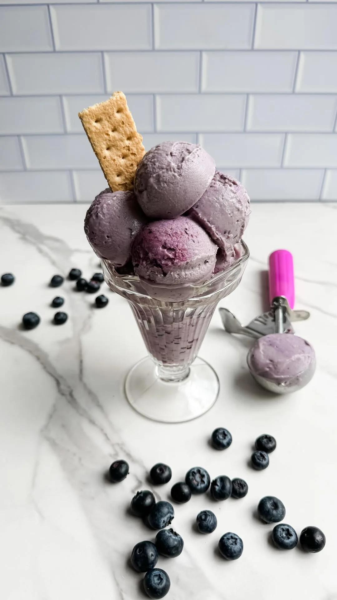 blueberry-cheesecake-protein-ice-cream