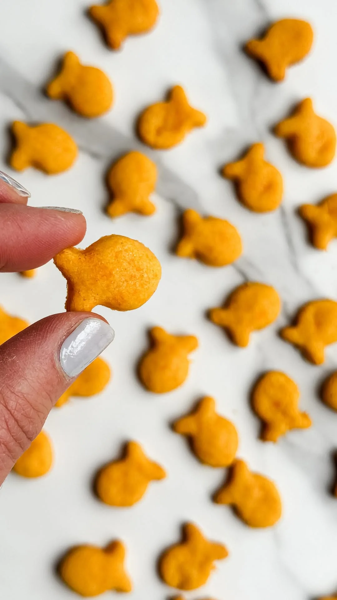 hidden-veggie-gf-goldfish-crackers