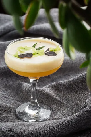 eucalyptus-pisco-sour