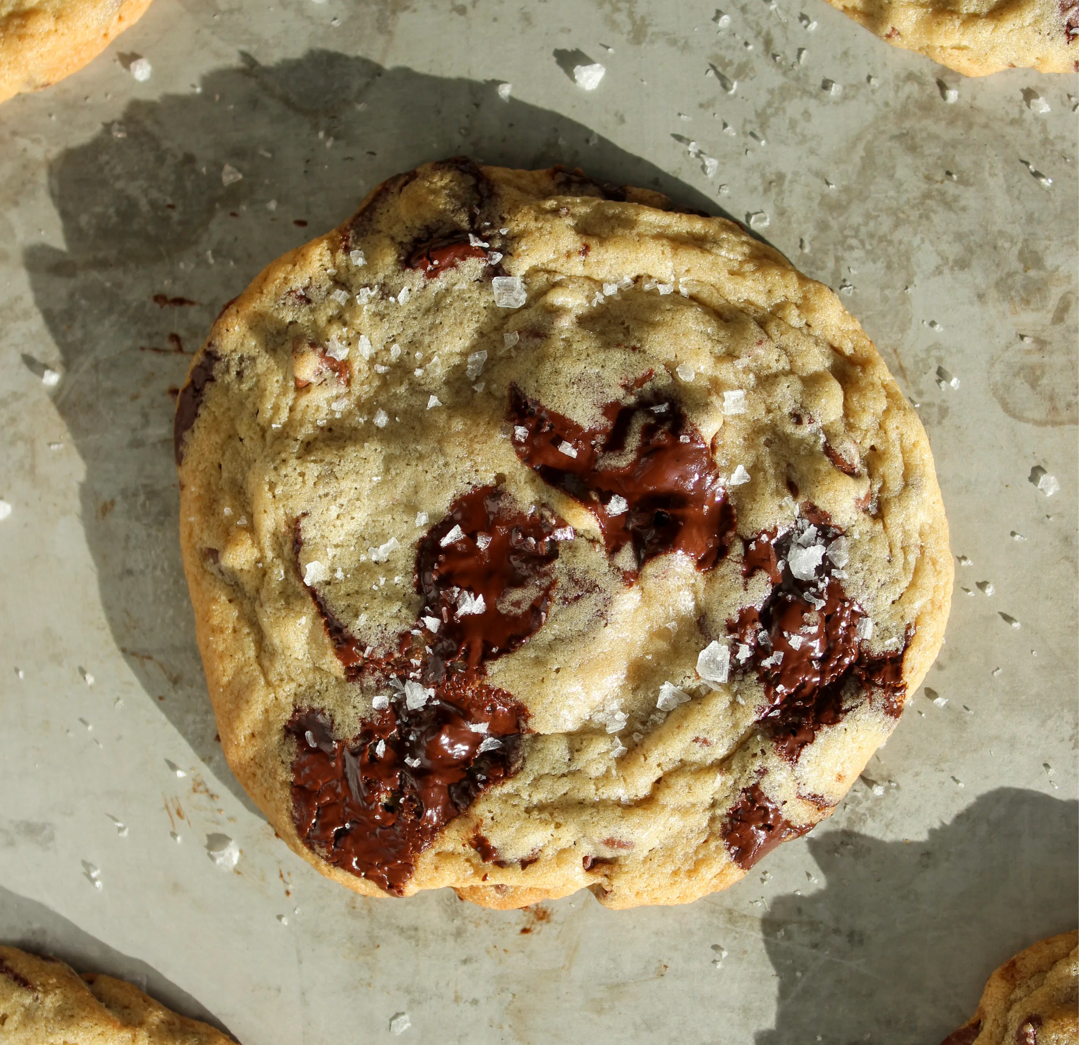 shelby's-chocolate-chip-cookies