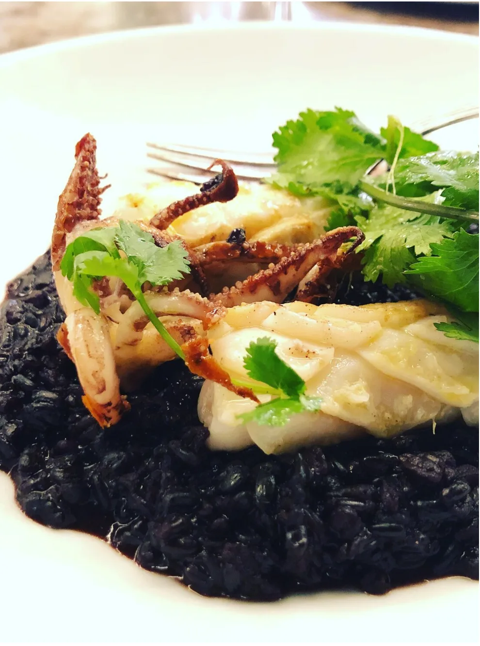 calamari-risotto