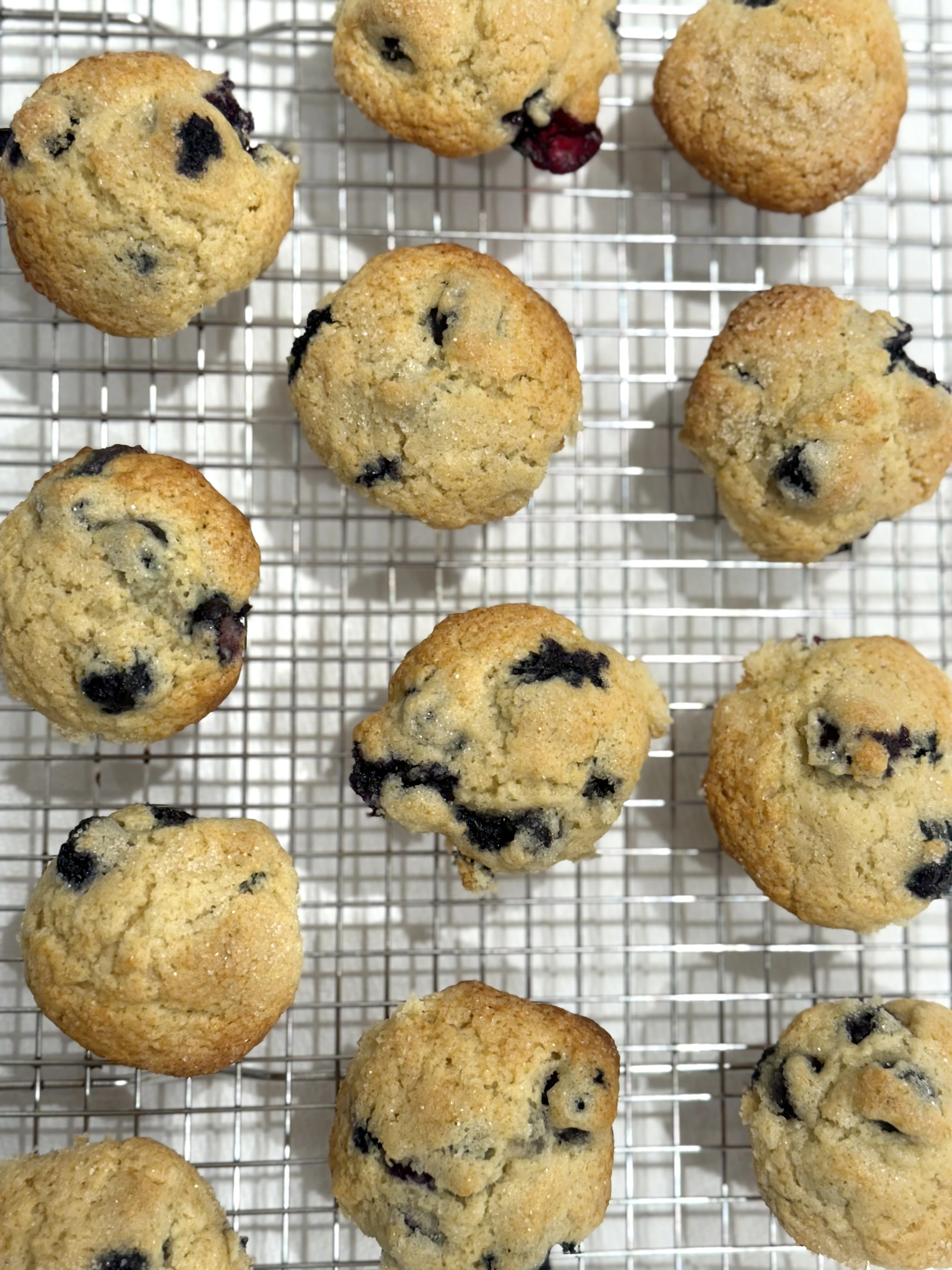 quick-and-easy-blueberry-muffins