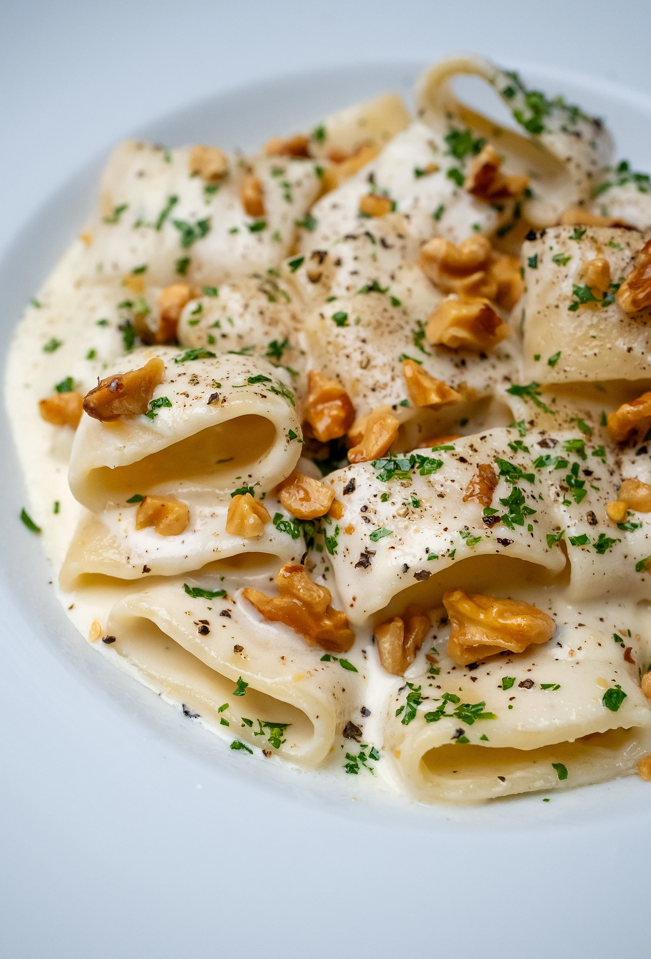 four-cheese-pasta