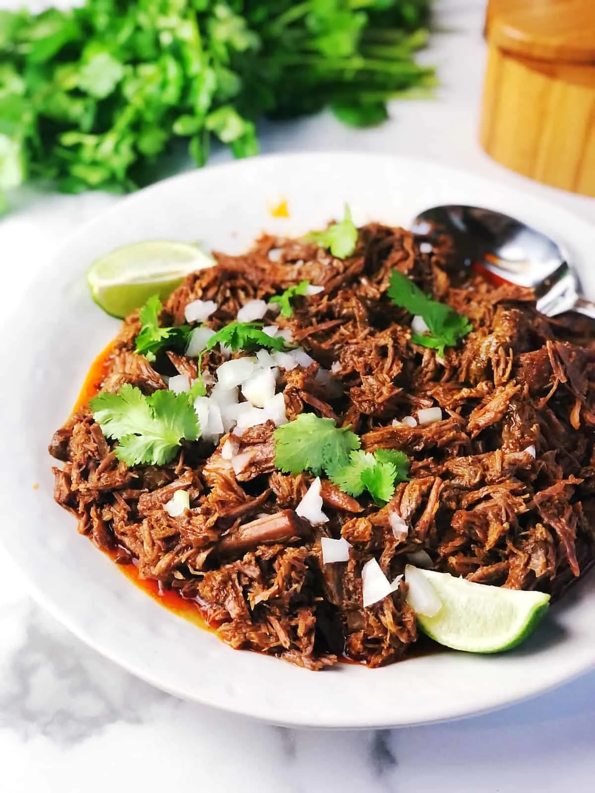 beef-barbacoa