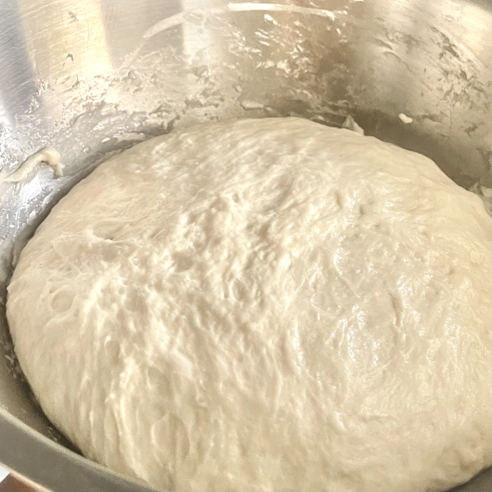 easy-no-knead-pizza-dough