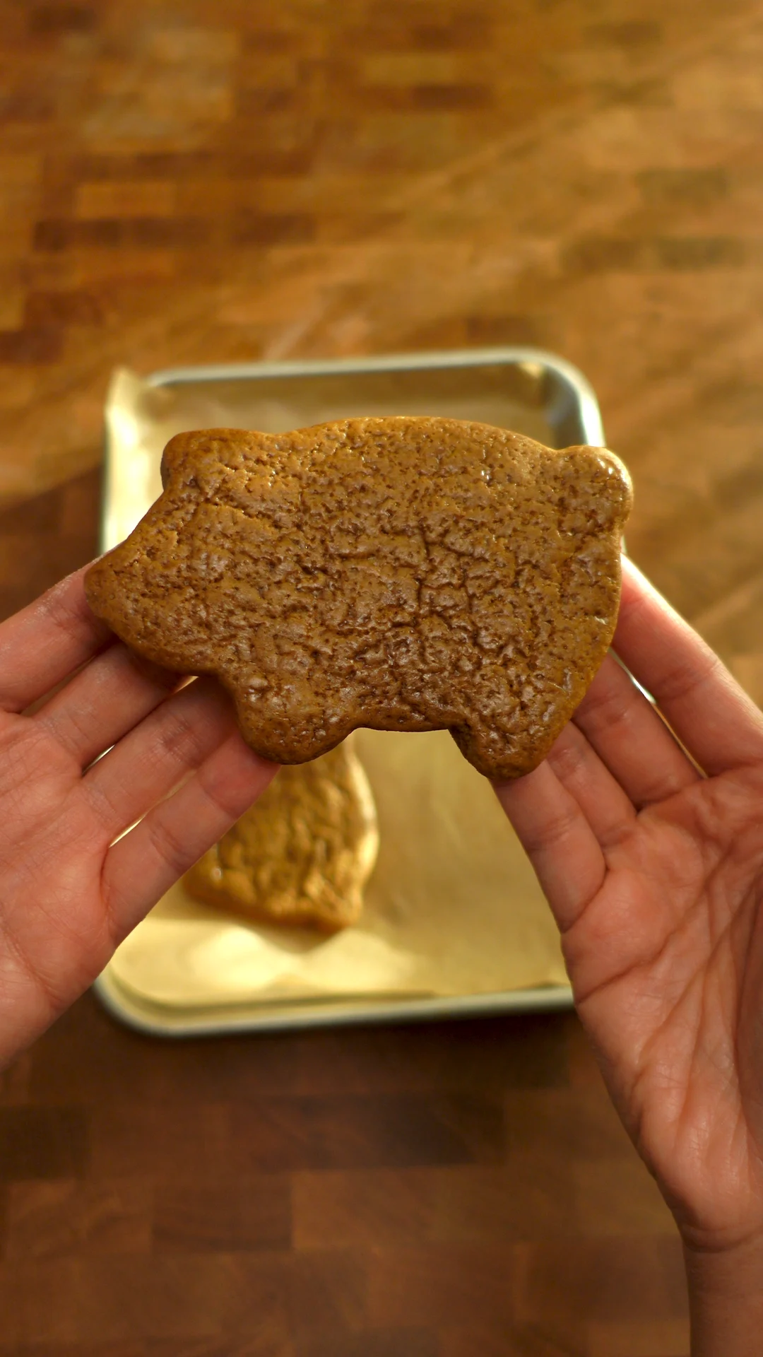 marranitos-(mexican-gingerbread-pigs)