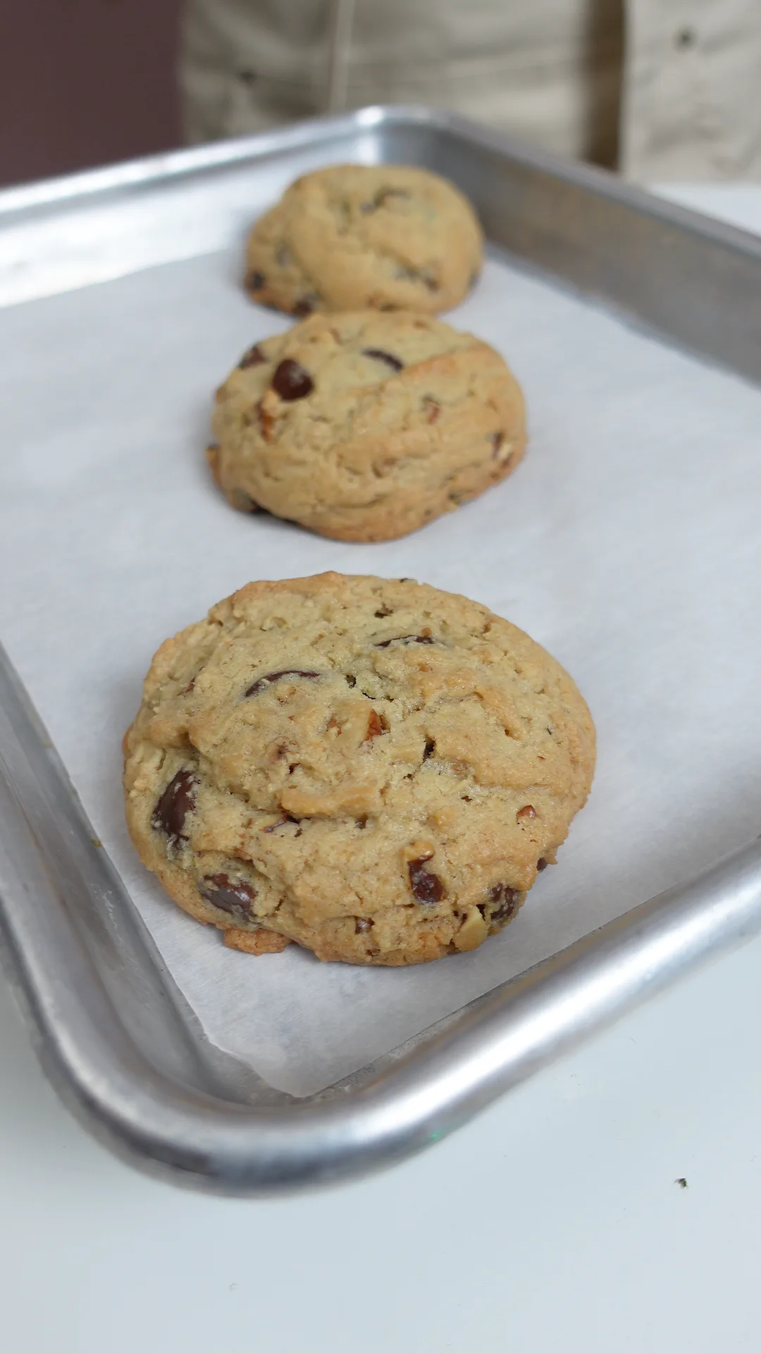 chocolate-chip-walnut-cookie
